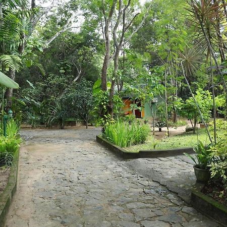 Jays Holiday Resort Хабарана Екстер'єр фото
