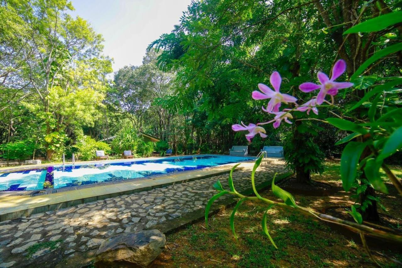 Jays Holiday Resort Хабарана Екстер'єр фото