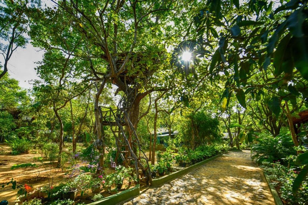Jays Holiday Resort Хабарана Екстер'єр фото