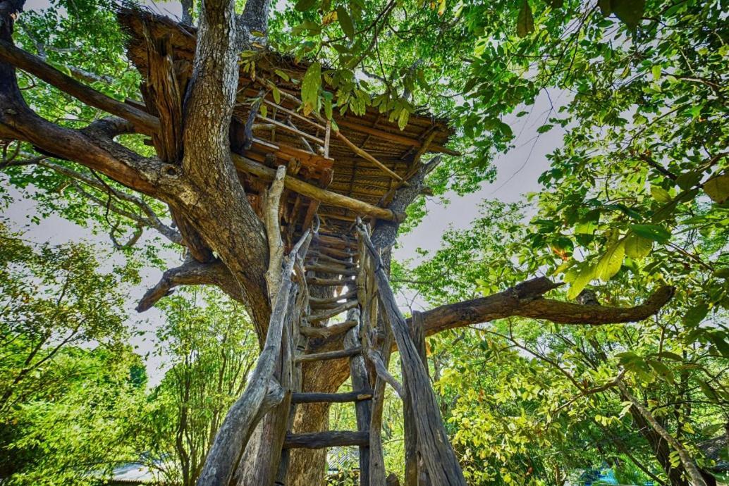 Jays Holiday Resort Хабарана Екстер'єр фото